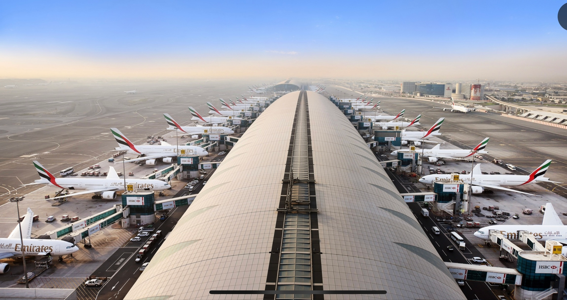 Which Airlines Serve the Best Meals 2025?